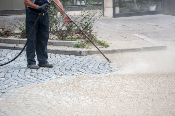 Professional  Pressure Washing Services in Pasadena, TX